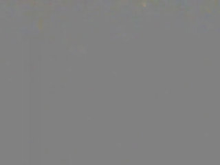 业余 亚洲人 复仇