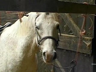 Sporco selvaggia sporco film in un fienile per birichina fattoria ragazze