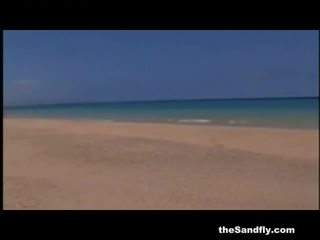 Thesandfly 该 海滩 sexfiles