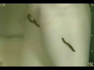 단단한 올라 엄마 pouring 두드러진 물 에 그녀의 고양이