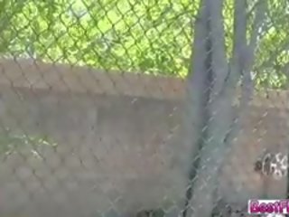 Stately fabulous to trot Girls On A Tennis Court